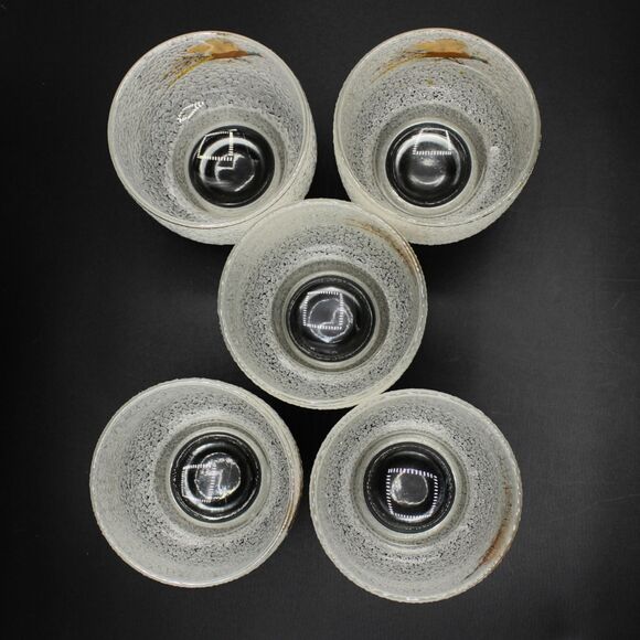 Set of 5 Vintage West Virginia Frosted Glass Cocktail Tumblers Pheasant Design - Picture 5 of 5